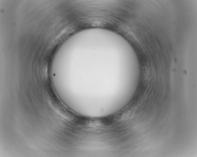 X0000088610262200706151834