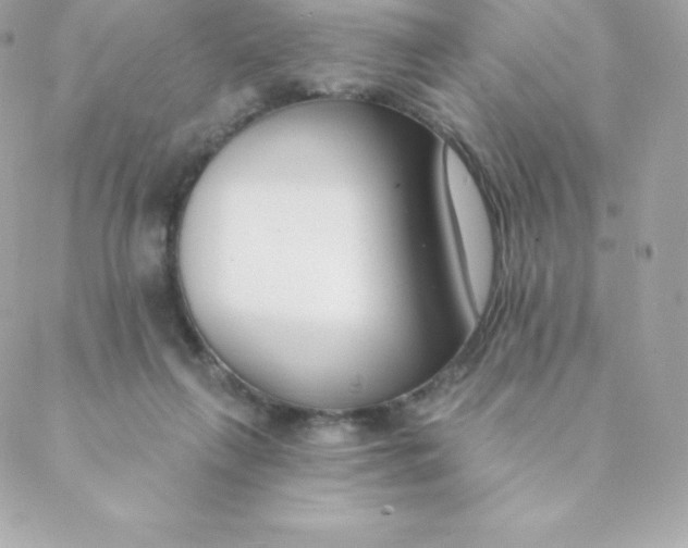 X0000088610263200706151834