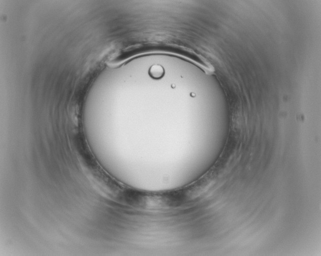 X0000088610264200706151834