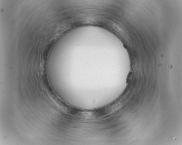 X0000088610265200706151834