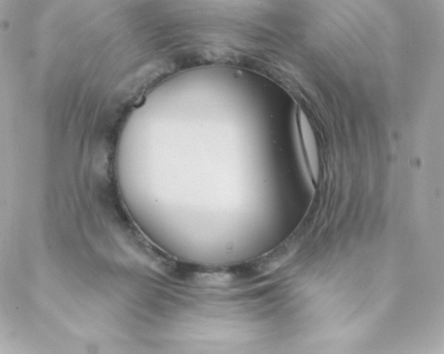 X0000088610266200706151834