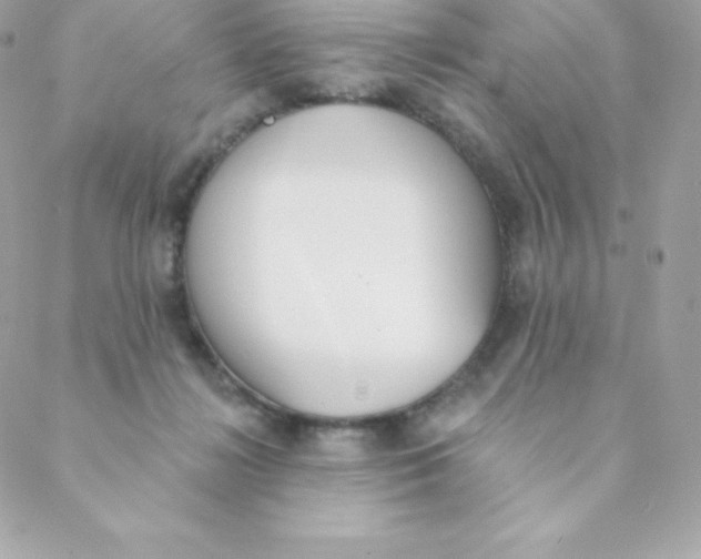 X0000088610268200706151834