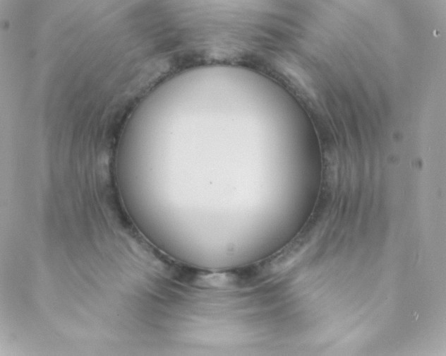 X0000088610269200706151834