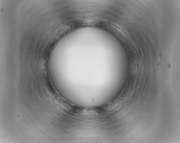 X0000088610270200706151834