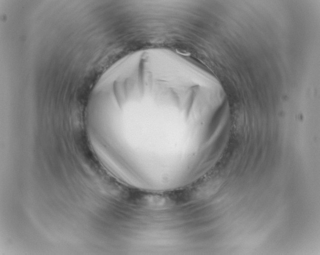 X0000088610272200706151834