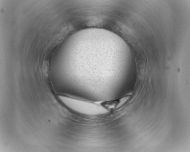 X0000088610273200706151834