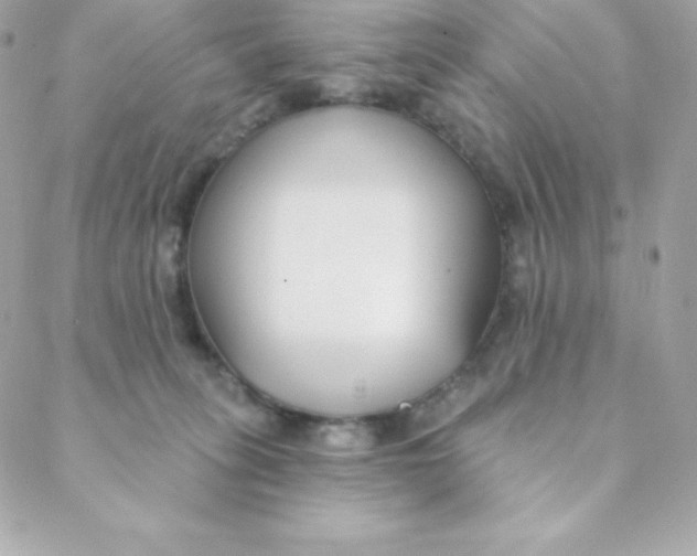 X0000088610275200706151834