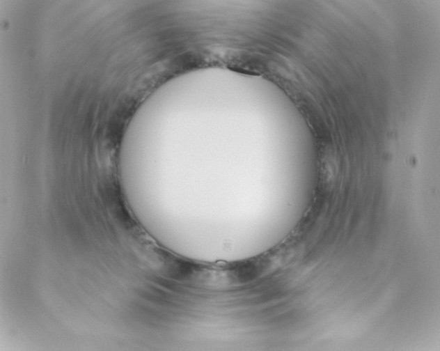 X0000088610276200706151834