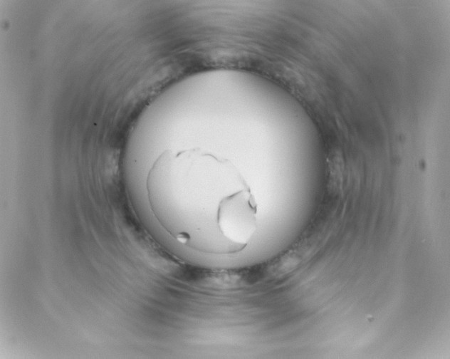 X0000088610278200706151835