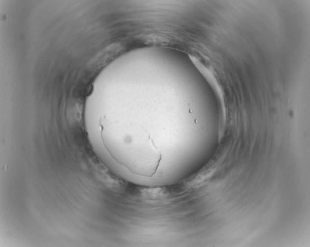 X0000088610281200706151835