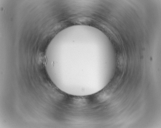 X0000088610284200706151835