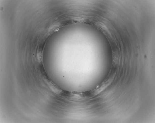 X0000088610285200706151835