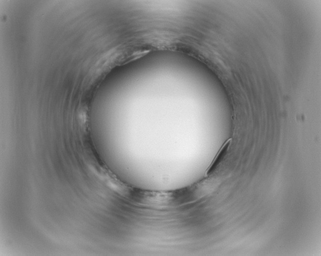 X0000088610288200706151835