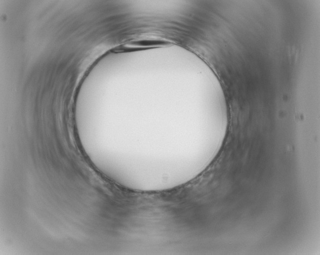 X0000088610289200706151834