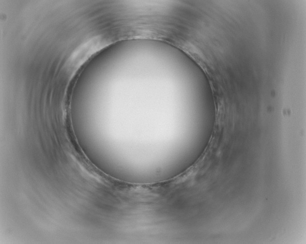 X0000088610290200706151834