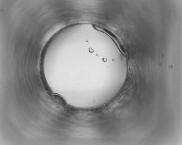 X0000088610292200706151834