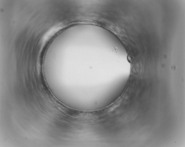 X0000088610294200706151834