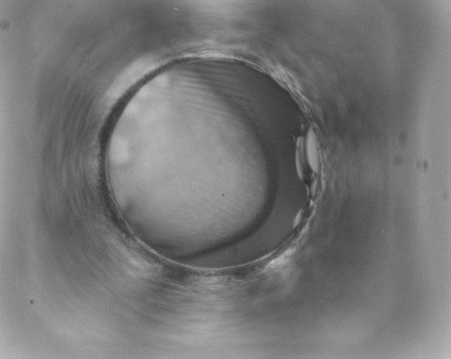 X0000088610295200706151834