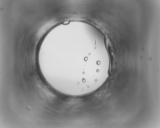 X0000088610296200706151834