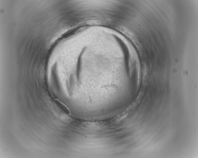 X0000088610297200706151834