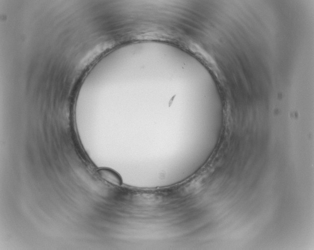 X0000088610298200706151834