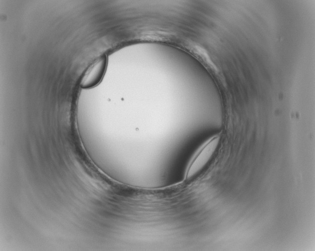 X0000088610299200706151834