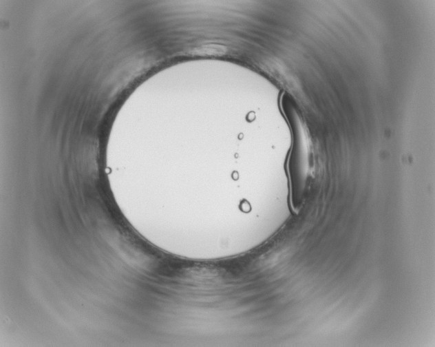 X0000088610300200706151834