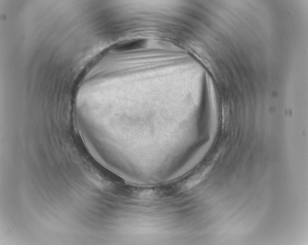 X0000088610301200706151834