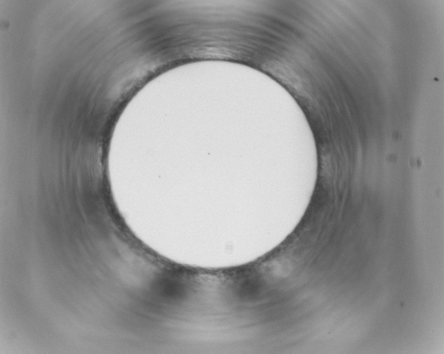 X0000088610302200706151834