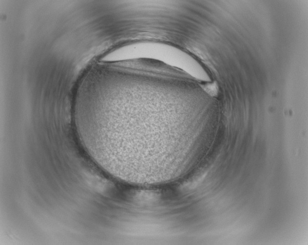 X0000088610303200706151834