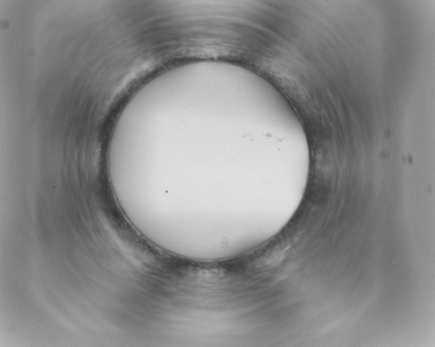 X0000088610304200706151834