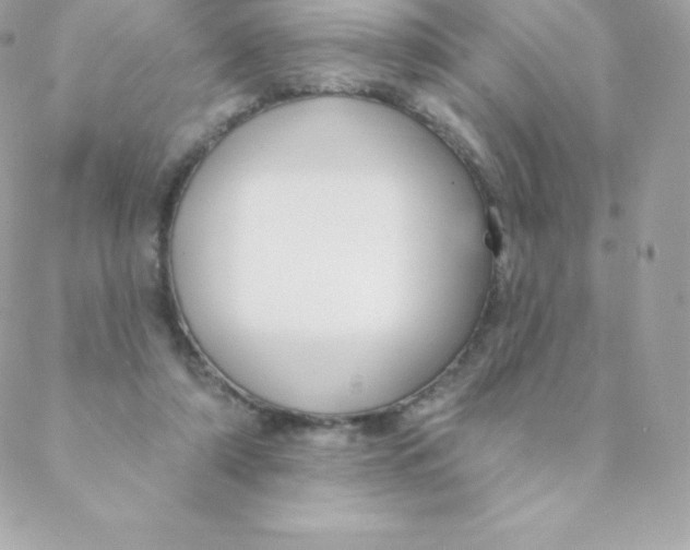 X0000088610306200706151834