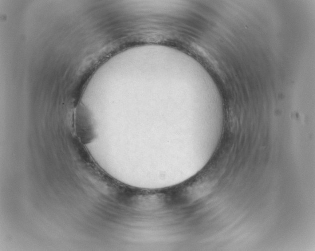 X0000088610307200706151834