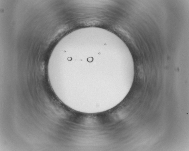 X0000088610308200706151834