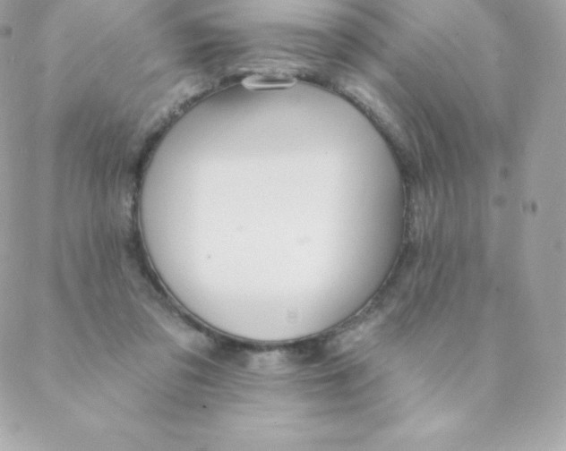 X0000088610309200706151834