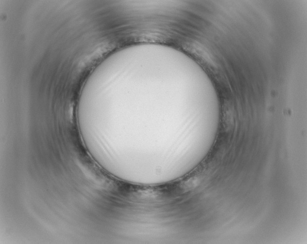 X0000088610310200706151834