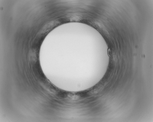 X0000088610311200706151834