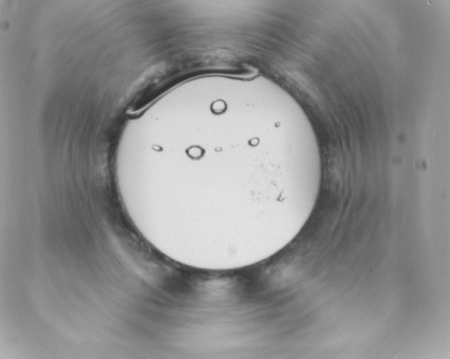 X0000088610312200706151834