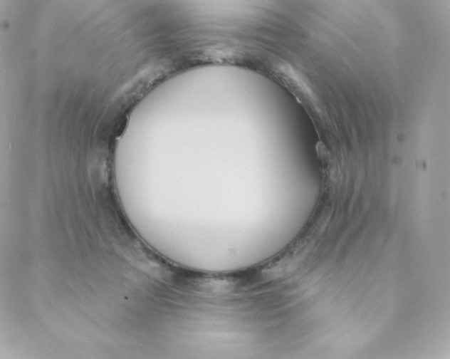 X0000088610313200706151834