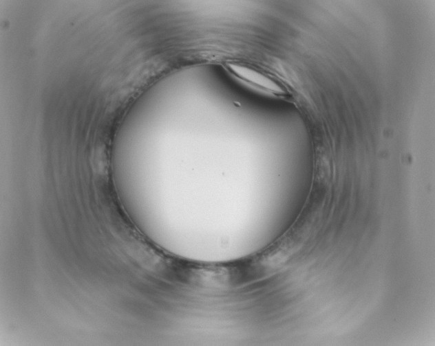 X0000088610317200706151833