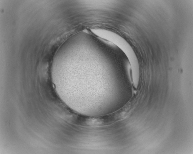 X0000088610319200706151833