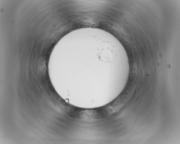 X0000088610320200706151833