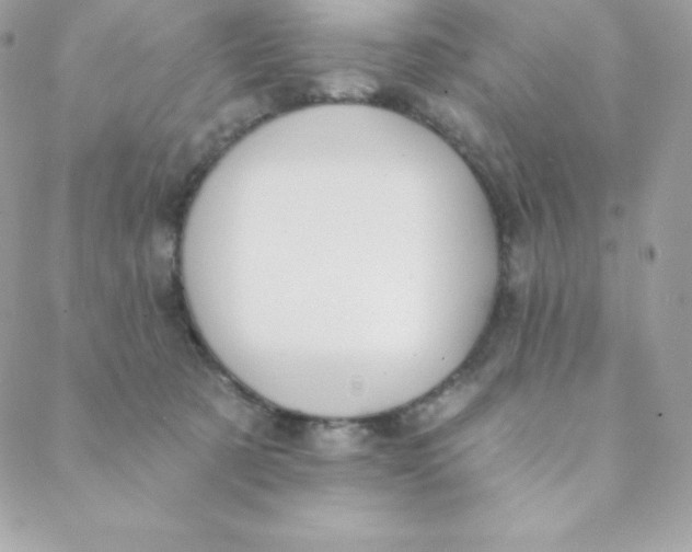 X0000088610321200706151833