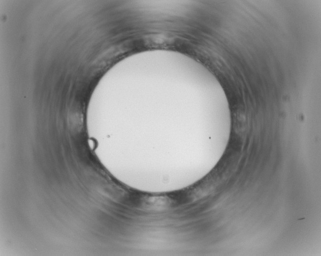 X0000088610324200706151833