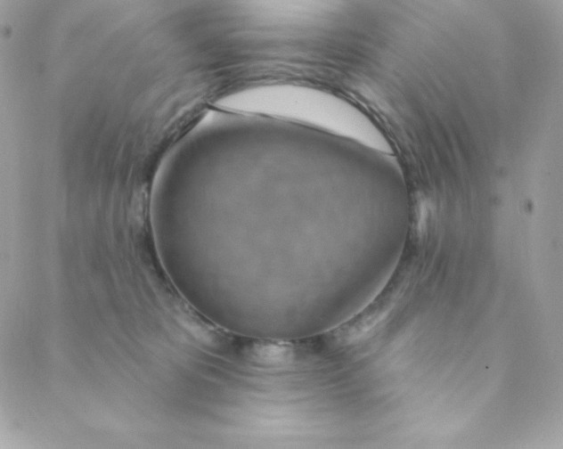 X0000088610325200706151833