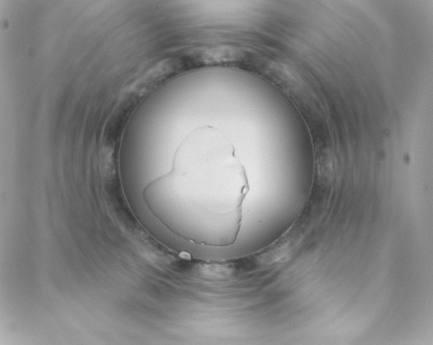 X0000088610327200706151833