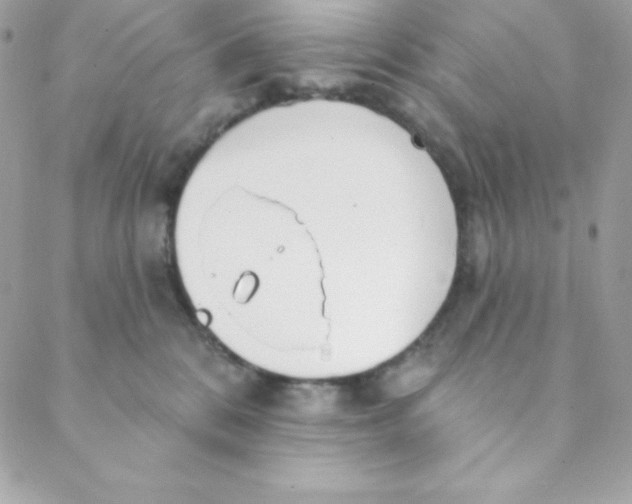 X0000088610328200706151833