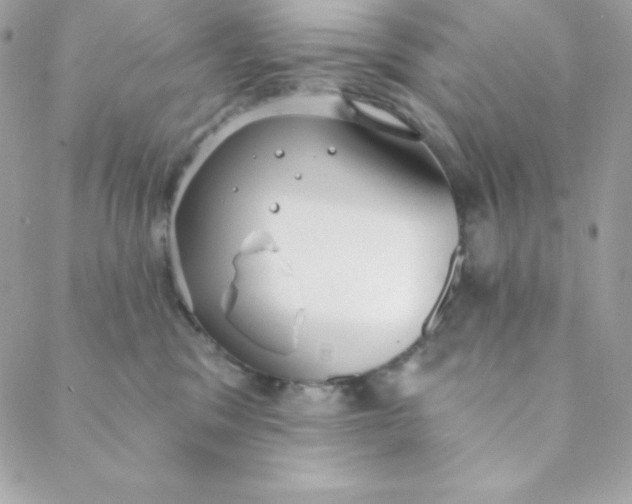 X0000088610329200706151833