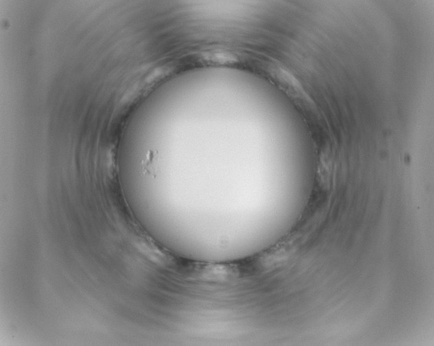 X0000088610330200706151833