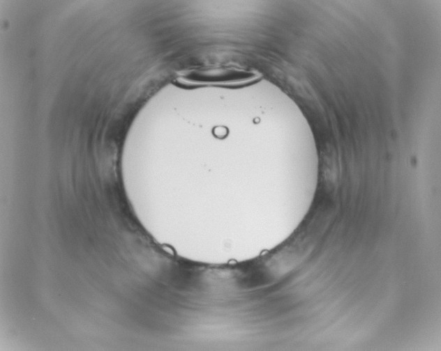 X0000088610332200706151833